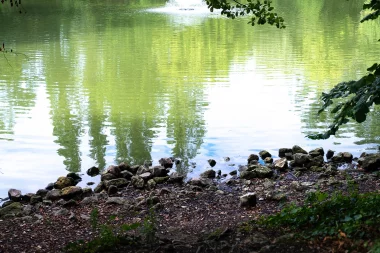 Parc du Moulin D'Ornon de Gradignan (5).